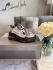 Balenciaga Triple S Sneakers BTSS1322712 